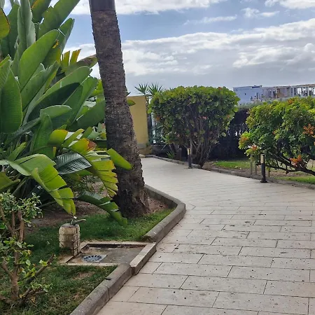 Costa Alegre 1 Sea View And Apartment *